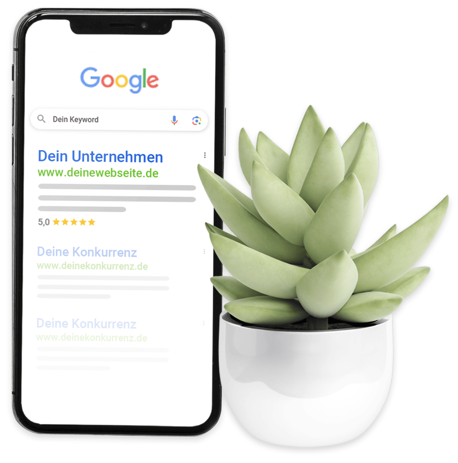 SEO Agentur Showcase
